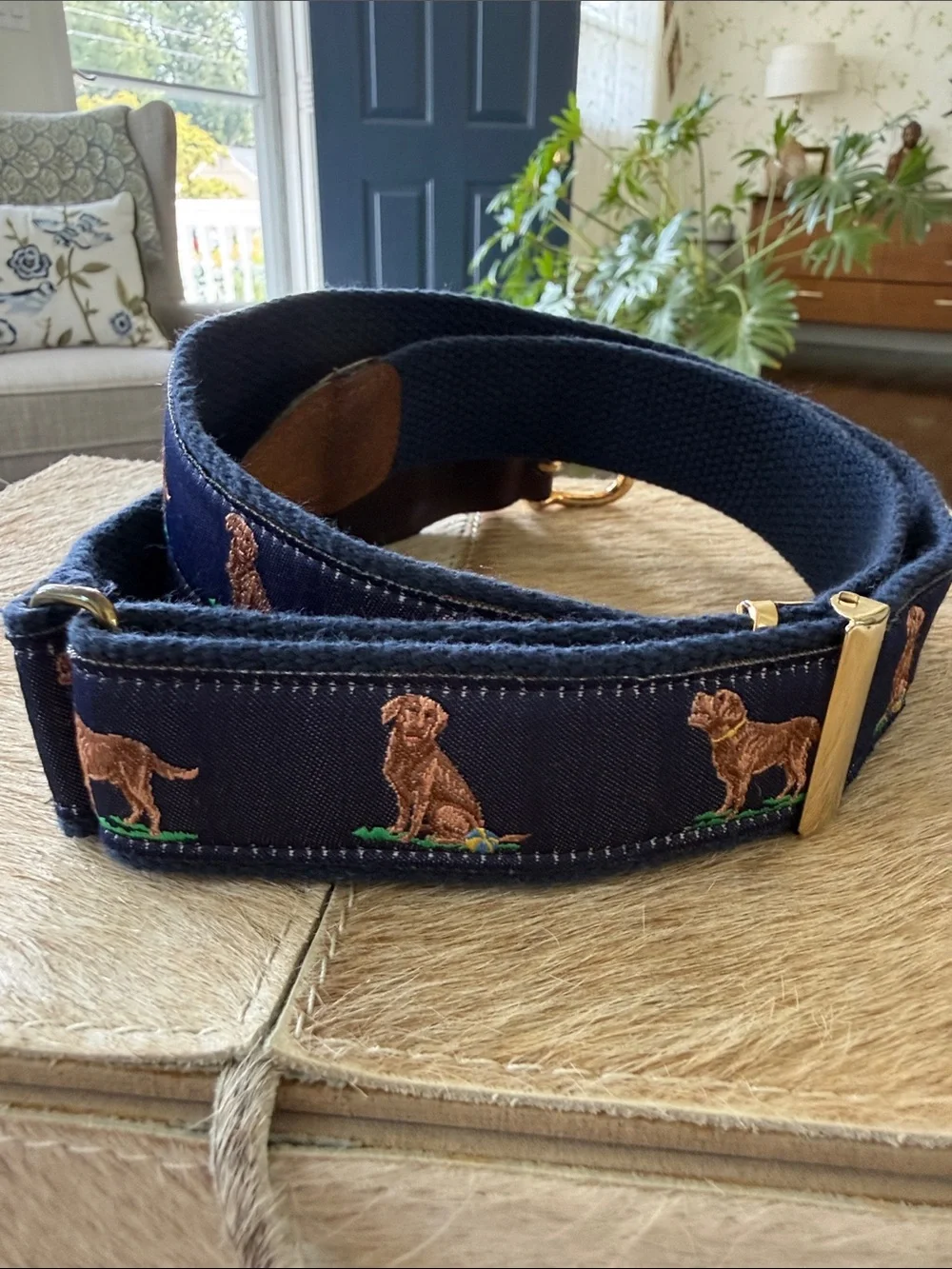 Alynn Preppy Brown Lab Dog Adjustable Belt 29-42”